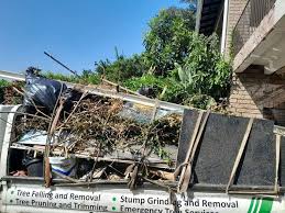 Best Foreclosure Cleanout  in Carver, MN